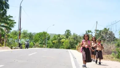 Satu Dekade Presiden Jokowi Bangun 366 Ribu Km Jalan Desa