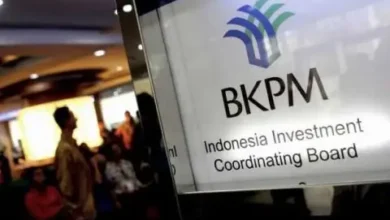 10 Tahun Pemerintahan Jokowi, Realisasi Penyertaan Modal Capai Rp9.117 Trilyun