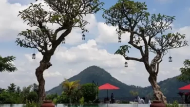 10 Tempat Wisata Instagramable di tempat area Sekitar Sentul, Ada Negeri dalam di Atas Awan