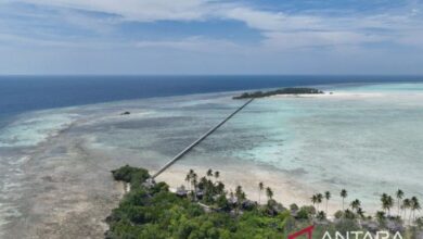 KKP menghadirkan MSP Wadah menyokong perencanaan ruang laut tingkat bumi