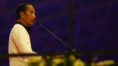 Presiden Jokowi Sebut Peparnas 2024 Begitu Spesial