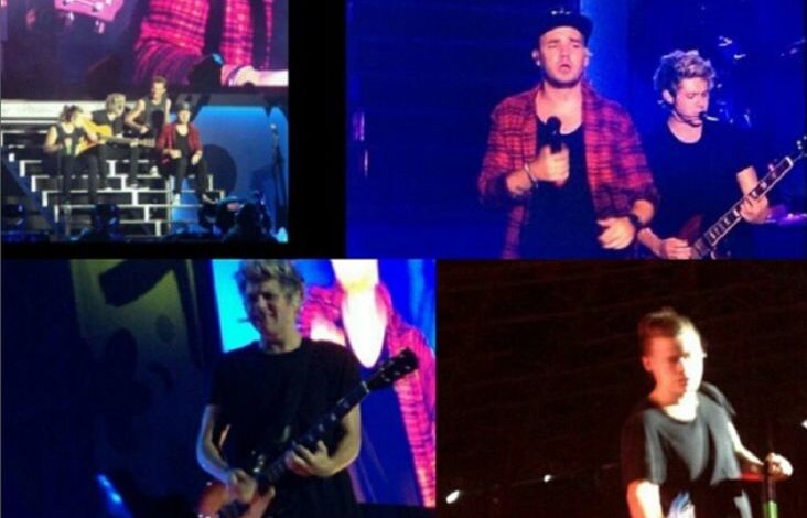 3 Potret Liam Payne kemudian One Direction Gelar Konser di area area DKI DKI Jakarta Tahun 2015