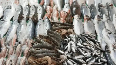 5 Makanan dengan Kandungan Mikroplastik Tinggi, Bisa Masuk ke Otak
