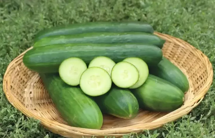 7 Sayuran Nyaris Tanpa Kalori, Pilihan Tepat untuk Diet Seimbang
