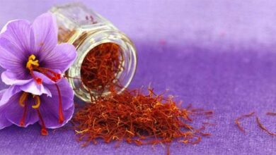 5 Sistem Kecantikan yang mana Mengambil Manfaat Kandungan Saffron