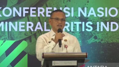 Pemprov Sulteng meyakinkan mineral nikel dikelola secara berkelanjutan