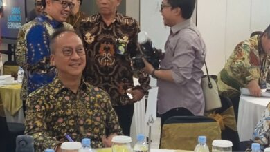 Menperin yakini nilai dunia usaha basis sawit mampu belaka capai Rp775 triliun