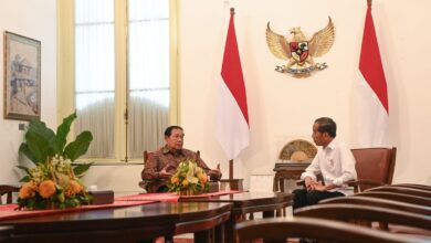 Hak-hak prerogatif Presiden pada sistem pemerintahan Negara Negara Indonesia
