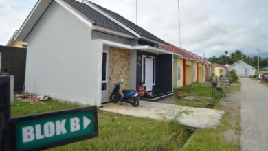 Proyek pemerintah untuk perumahan di 2024