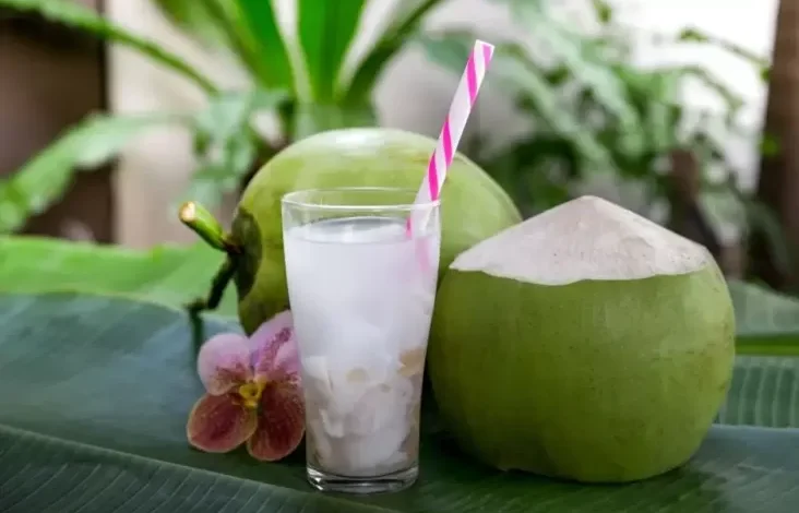 Apakah Minum Air Kelapa Bisa Menurunkan Gula Darah?