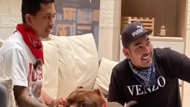 Dari Pitbull ke Bulldog, Pelajari Karakter Anjing serta juga Tips Perawatan dari Shine dan juga juga Robby Purba