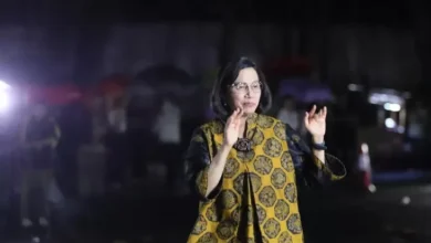 Intip Kekayaan Sri Mulyani, Calon Menteri Keuangan di area area Pemerintahan Prabowo-Gibran
