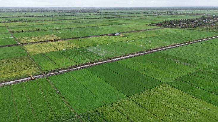 Kementan Jelaskan Produksi Beras pada Tengah El Nino Berkepanjangan Tahun 2024