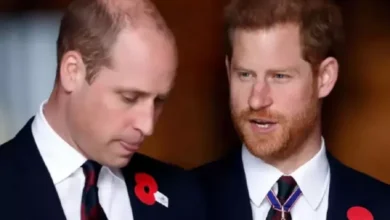 Merasa Tersakiti, Kate Middleton kemudian Pangeran William Tak akan Pernah Maafkan Harry lalu juga Meghan Markle