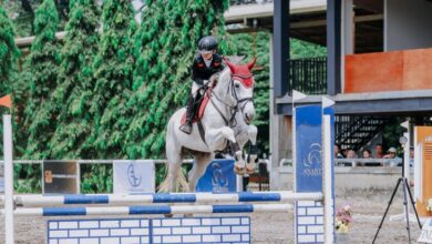 Narantraya Jeihan Widjaya Torehkan Prestasi Membanggakan dalam tempat Shark Equestrian Competition