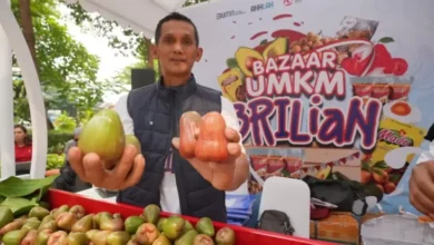 Pengusaha Jambu di Kudus Berhasil Kembangkan Usaha Berkat Pemberdayaan BRI