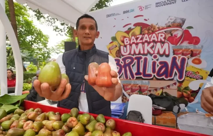 Pengusaha Jambu di Kudus Berhasil Kembangkan Usaha Berkat Pemberdayaan BRI