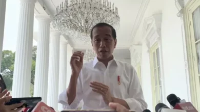 Penilaian 10 Tahun Kemampuan Jokowi, LSI Denny JA: 3 Rapor Biru, 1 Rapor Merah