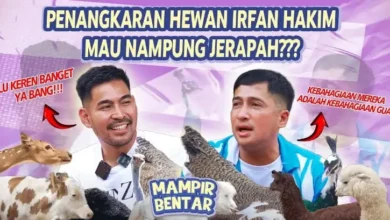 Petualangan Robby Purba pada Global Binatang Bersama Irfan Hakim: Tawa, Edukasi, juga Cinta