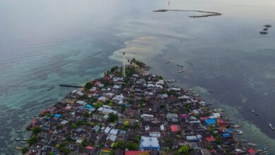 Satu Dekade Jokowi: Menyambung Sinyal hingga ke Pulau Terkecil