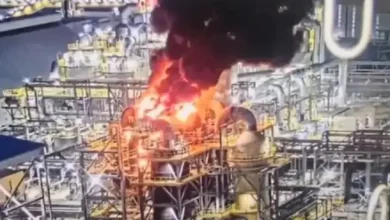 Smelter pada Gresik Terbakar, Freeport Pastikan Tak Ada Korban