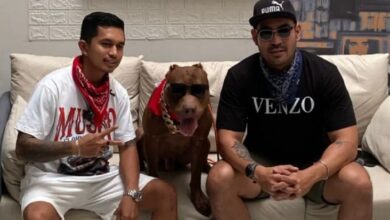 Teknik Jitu Mengatasi Perilaku Dominan Anjing, Tips dan juga juga Trik dari YouTube Robby Purba