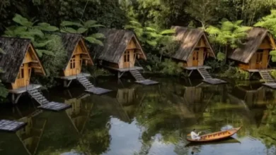 10 Spot Glamping Keren pada Bandung, Bikin Liburan Makin Seru