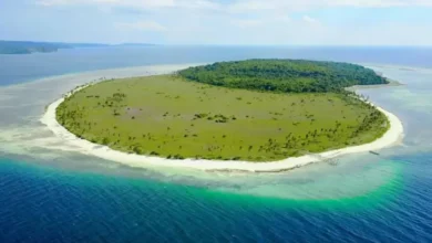 12 Pulau di area area Indonesia dengan Nama Hewan, Nomor 3 Dihuni Banyak Ular Laut