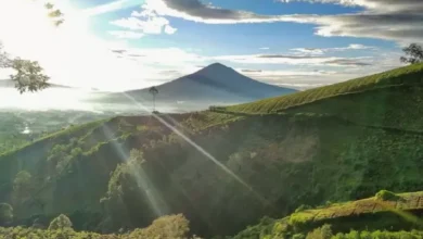 20 Rekomendasi Tempat Wisata di dalam di Garut, Diselimuti Lingkungan Bebas Sejuk dan juga Dingin