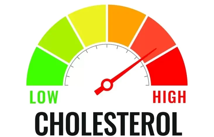5 Simptom yang tersebut dimaksud Dirasakan Badan apabila Kolesterol Tinggi, Nomor 2 Sering Dikira Maag