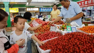 5 Negara dengan Tarif PPN di dalam area Atas 12%