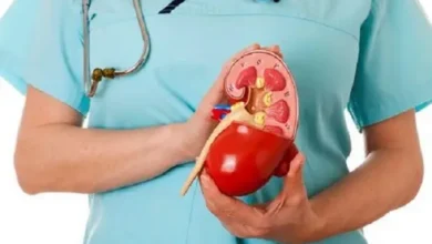 5 Barang Sehari-hari yang dimaksud yang dimaksud Dapat Merusak Ginjal Jika Tak Digunakan dengan Bijak