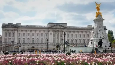 7 Pria yang dimaksud digunakan Berhasil Masuk Istana Buckingham bak Drama Film, Salah Satunya Curi Celana Dalam Ratu