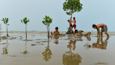 Pilih tiada ada punya anak (childfree), bagaimana hukumnya pada Islam?