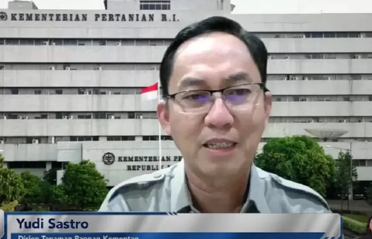 Atasi Krisis Pangan, Kementan Bakal Optimalisasi Lahan lalu Cetak Sawah Baru