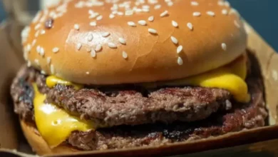 Burger McD Tercemar Bakteri E. Coli, 75 Orang Jatuh Sakit lalu 1 Meninggal Bumi
