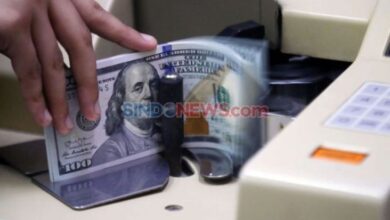Cadangan Devisa Indonesia Naik Jadi USD151,2 Miliar per Oktober 2024