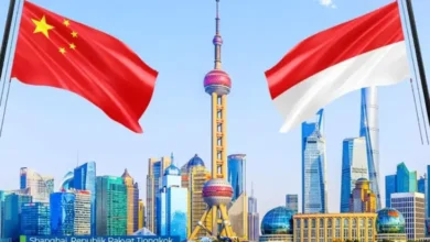 China Penanaman Modal Jumbo Rp156 Billion ke Indonesia, Bagian Apa Saja?