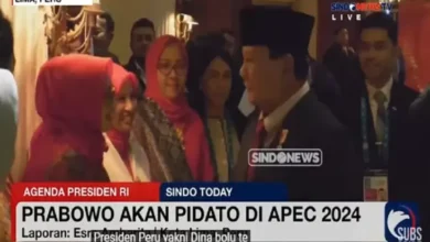 Di APEC direktur utama Summit, Prabowo Tegaskan Bakal Lindungi Semua Penyertaan Modal