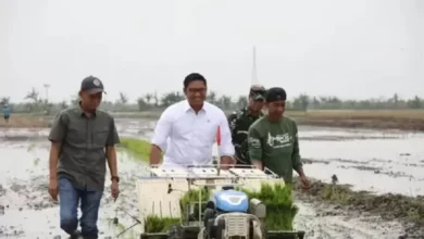 Dinobatkan sebagai Bapak Petani Milenial, Wamentan Yakin Industri Pertanian Menjanjikan