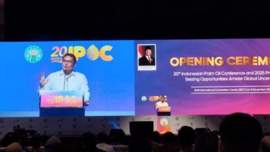Implementasikan B50, eksekutif Dorong Pembaruan Produktivitas Sawit