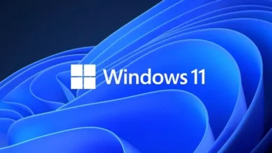 Keselamatan Super Ketat, Jumlah Download Window 11 Semakin Melesat