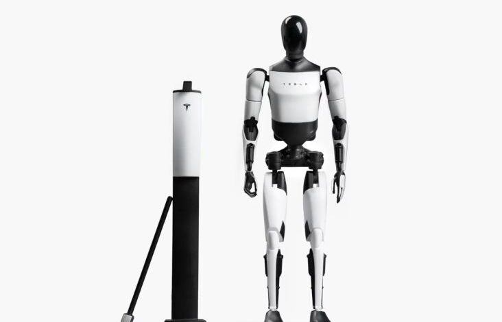Luncurkan Action Figure Tesla Bot, Portal Tesla Tumbang Karena Antusiasme Pembeli!