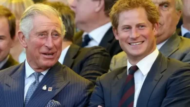 Pangeran Harry Punya Musuh Bebuyutan di tempat di Keluarga Kerajaan yang yang disebutkan Halanginya juga Raja Charles III Rekonsiliasi