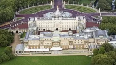 Pelanggaran Keselamatan yang dimaksud mana Pernah Terjadi di area pada Istana Buckingham, Apa Hukumannya?