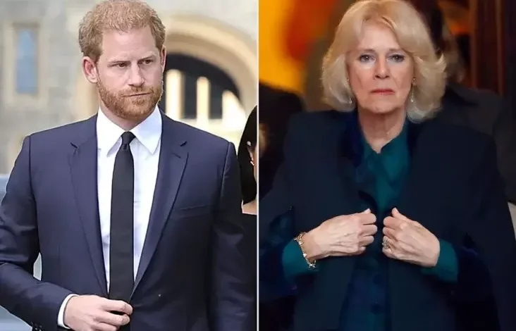 Sikap Pangeran Harry ke Raja Charles III Buat Ratu Camilla Marah Besar