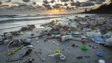 World Plastics Council juga Global Plastics Alliance Ajak Mengakhiri Polutan Plastik