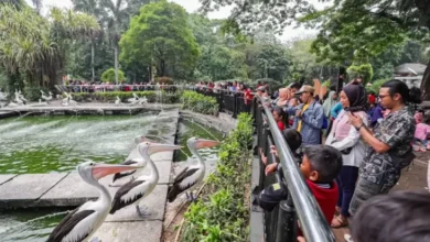 10 Tempat Wisata Murah dalam tempat Ibukota Indonesia untuk Liburan Akhir Tahun, Nomor 2 Tiket Masuknya Gratis