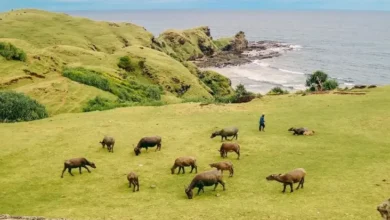 10 Wisata Alam Hidden Gem pada Lombok yang dimaksud digunakan Wajib Dikunjungi ketika Liburan
