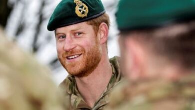 3 Prestasi Pangeran Harry pada tempat Planet Militer Inggris, Bunuh 25 Orang ketika Pekerjaan di Afganistan